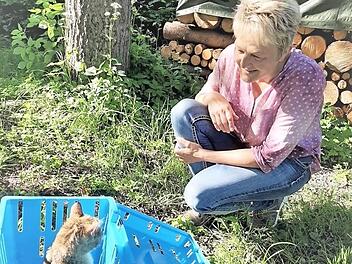 Marion Damm und Katze Nelly, die dank großem Einsatz am Leben ist  Foto: Jupp Schröder