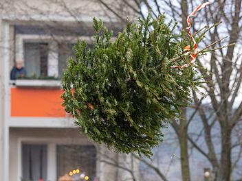 Weihnachtsbaum in Unterfranken von Balkon geworfen - Frau bricht sich den Arm