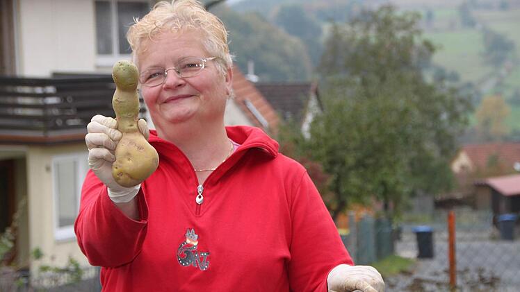 Gärtnern ist das Hobby von Edith Müller aus Züntersbach. Allein ihr Vorgarten misst etwa 40 Quadratmeter. Hier hat sie gut eineinhalb Zentner Kartoffeln aus der Erde geholt. Auch dieses Exemplar war dabei. Foto: Ulrike Müller