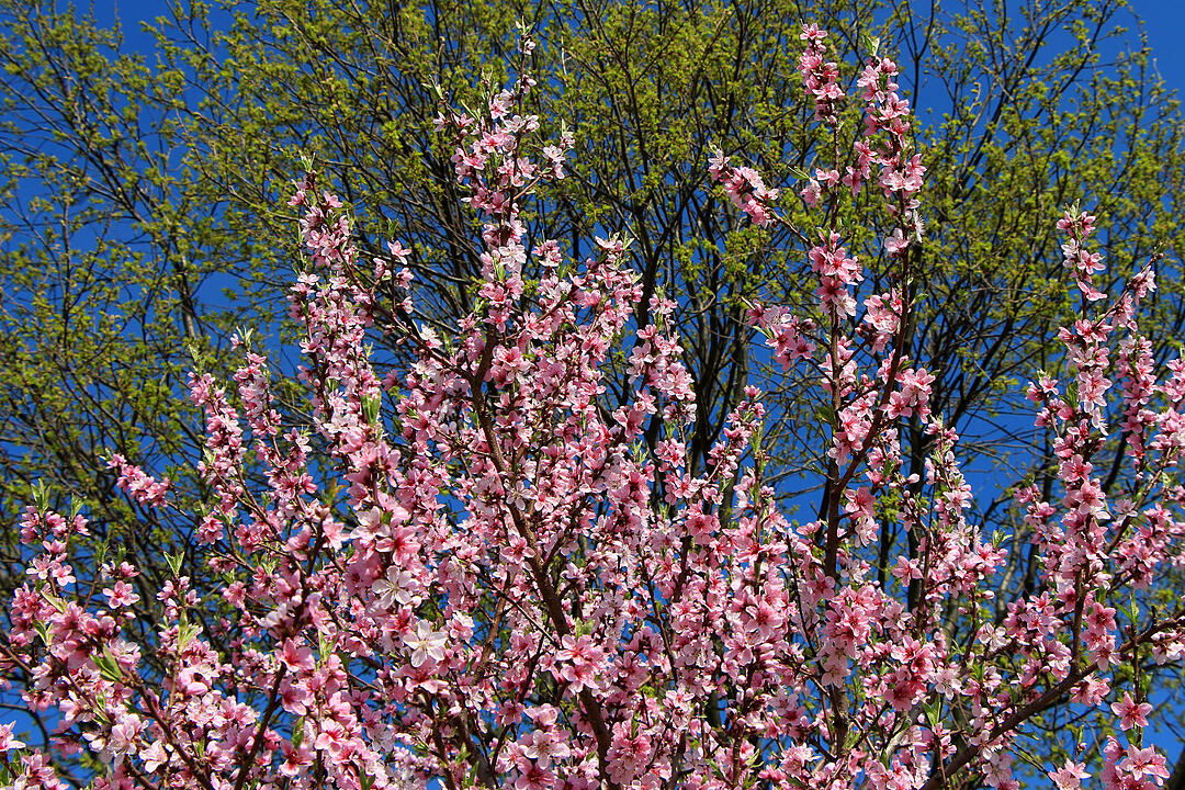 Fotos Konrad Thomann