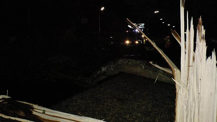 Einen Baum knickte es um in Haßfurt. Foto: Christian Licha