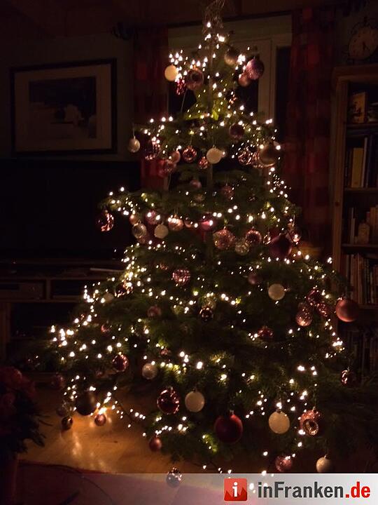 Weihnachten in Franken: Die Christbäume unserer Leser