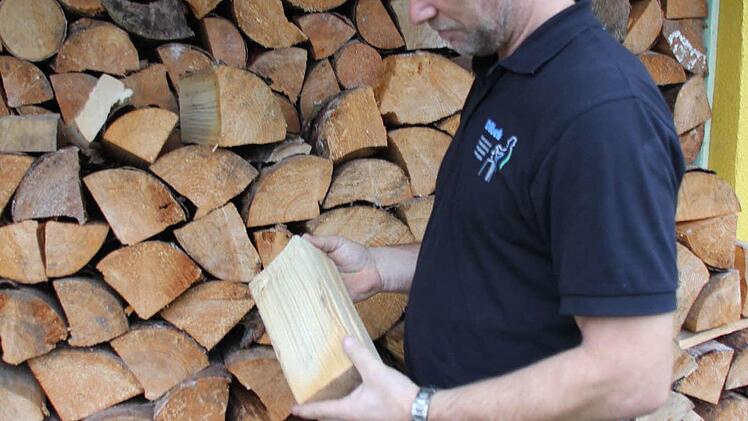 Bezirkskaminkehrermeister Markus Dütsch vor aufgeschlichtetem Brennholz in Steinberg Foto: Friedwald Schedel