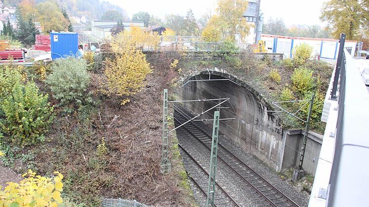 Die alte Fußgängerbrücke bei der Südbrücke in Kronach Foto: Friedwald Schedel Foto: Friedwald Schedel