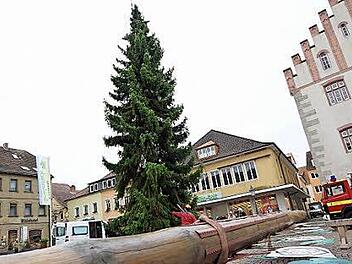Der Zunftbaum macht dem Weihnachtsbaum Platz. Foto: Arkadius Guzy