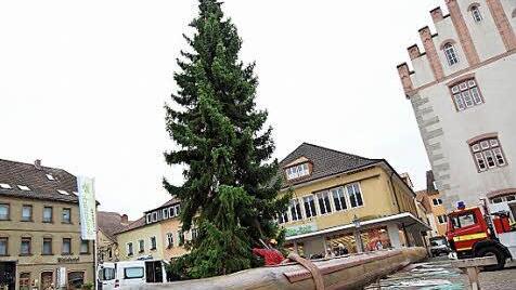 Der Zunftbaum macht dem Weihnachtsbaum Platz. Foto: Arkadius Guzy