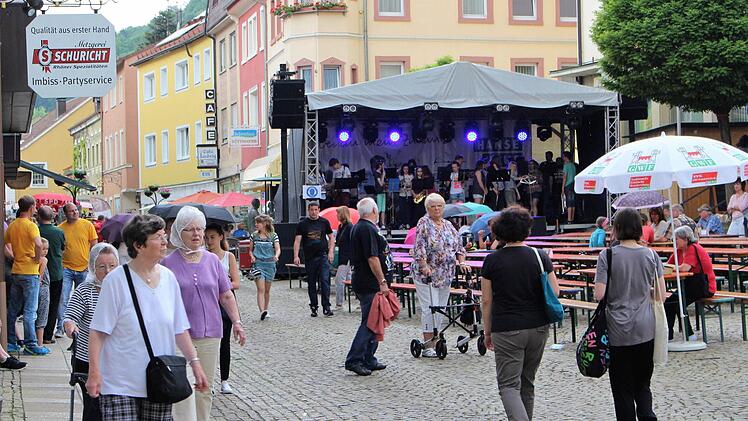 Impression vom Stadtfest. Foto: Julia Raab