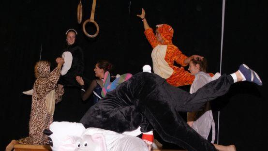 Hinter dem  scheinbaren Chaos beim abschlie&szlig;enden "Tiergarten der &Uuml;bungsleiter" steckte viel choreografische Vorbereitung.Mario Deller