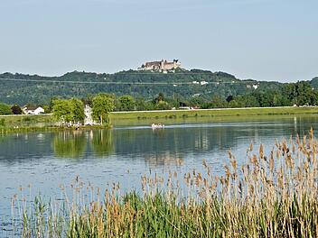Coburger Goldbergsee von Gift-Alge befallen: Behörde warnt - "explosionsartige Vermehrung"
