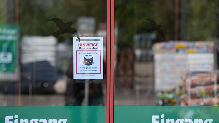 Katze "Lotti" lebt in Baumarkt