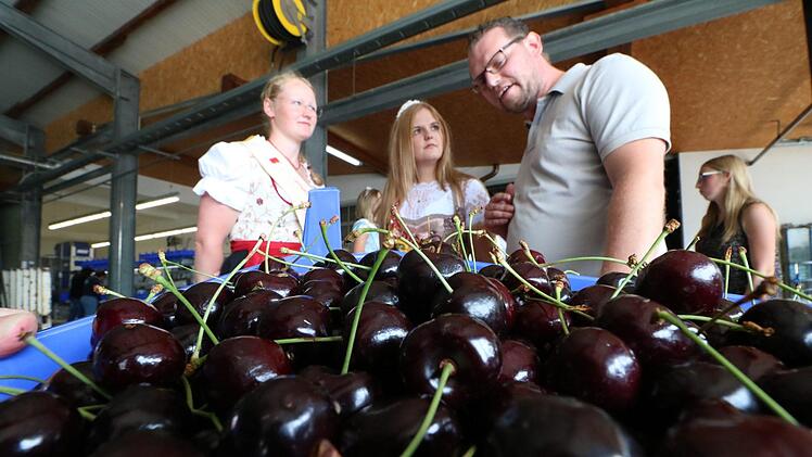 Foto: Andreas Hofbauer