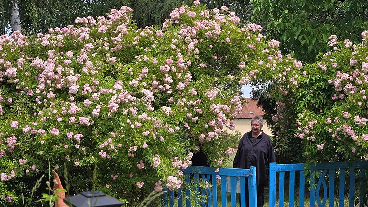 Jutta Romeis (im Bild) und ihr Mann Ralf haben neben ihrer Villa, der ehemaligen Bahner Gastwirtschaft, in den letzten 20 Jahren einen Rosengarten geschaffen, der seinesgleichen sucht.