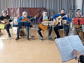 Das Zupf-Orchester "musica a corda" mit Iris Hammer beim Probenwochenende in Hemhofen Fotos: privat