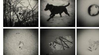 Die Collage von Monika Meinhart und Hans Kronenberg aus Stegaurach ist eine Überraschung im Hexenturm, denn die Künstlerin will sich erst in letzter Minute überlegen, wie die Fotografien angeordnet werden .