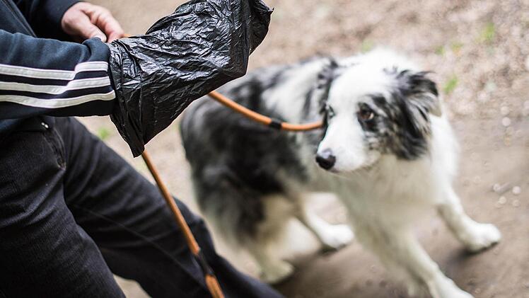 Nicht jeder greift für die Hinterlassenschaften seines Lieblings zum Tütchen. Foto: Maja Hitij/dpa