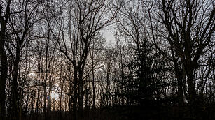 Fotos Konrad Thomann