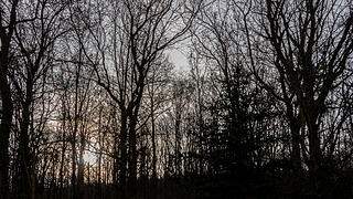 Fotos Konrad Thomann Fotos Konrad Thomann