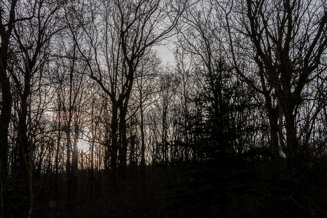 Fotos Konrad Thomann