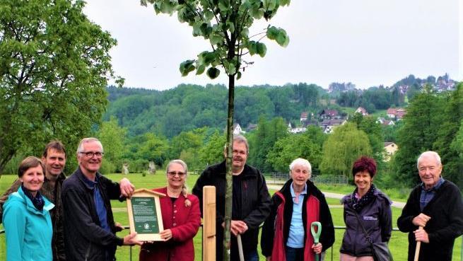 Neben dem Kreislehrgarten auf dem ehemaligen Landesgartenschaugelände wurde durch den Kreisvorstand eine vier Meter hohe Silber-Linde "Brabant" gepflanzt. Das Bild zeigt von links Kreisfachberaterin Beate Singhartinger, Förster Ulrich Dautel, stellvertretenden Kreisvorsitzenden Volker Wündisch, Jutta Dietzel, Günter Schmidt, Hildegard Kraus, Anja Hanuschke und Horst Heinlein. Foto: Gerd Fleischmann