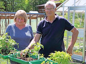 Sie haben das ganze Jahr über eigenes Gemüse: die Jansons aus Eicha.  Foto: Thomas Neder