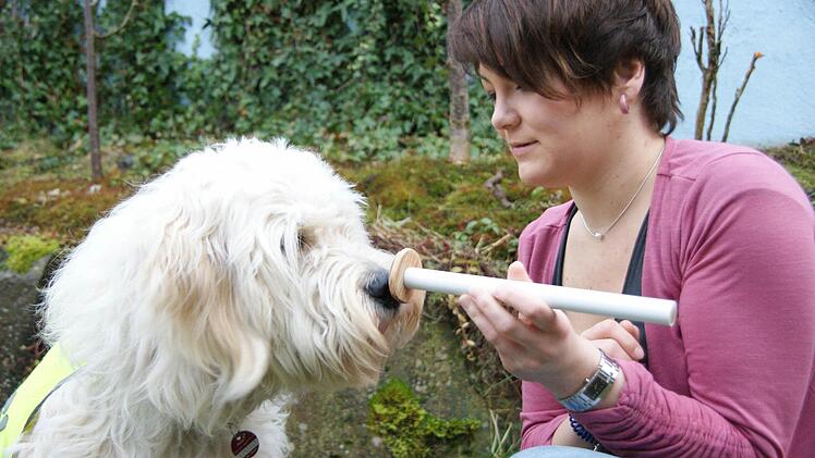 Marley beim Training: Hier lernt er einen Knopf zu drücken.
