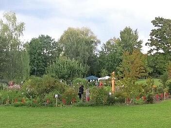 Das Pflanzen-Labyrinth besteht seit 25 Jahren.  Foto: privat