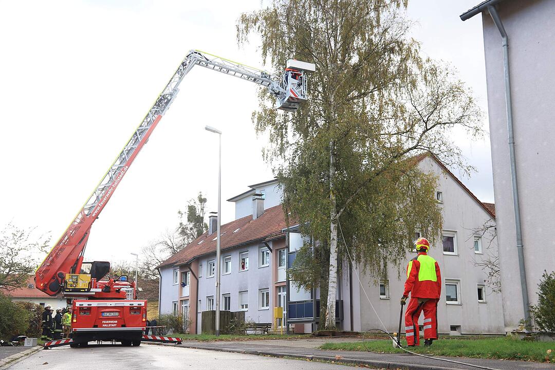 Sturmschäden überall in Franken