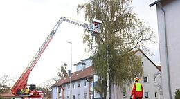 Vorschaubild