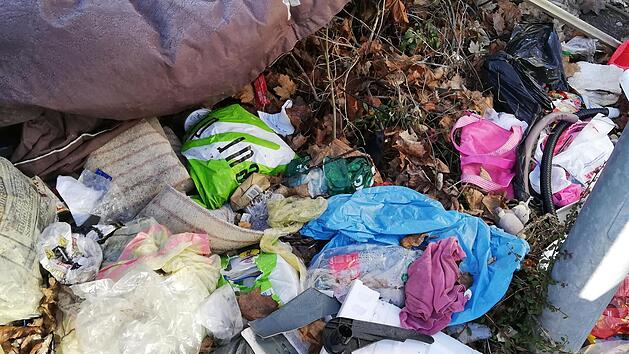 Ein Ärgernis war die wilde Müllhalde am Netto-Parkplatz in Münnerstadt. Foto: Heike Beudert