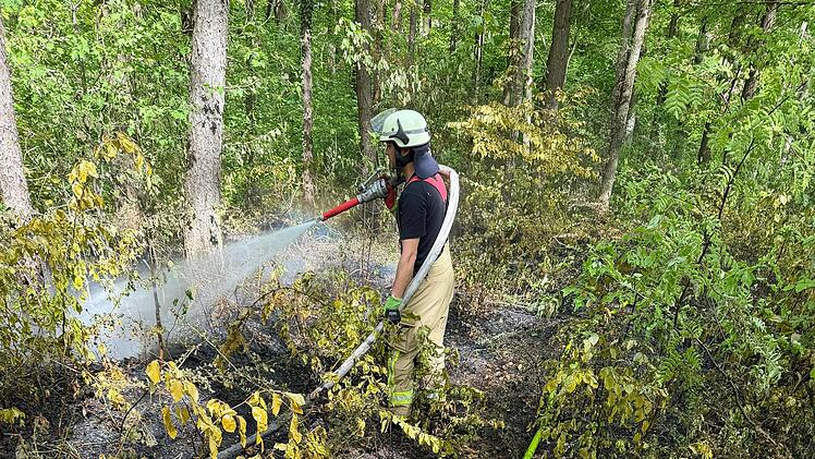 Waldbrand in Bamberg - Feuerwehr &uuml;ber Stunden im Einsatz