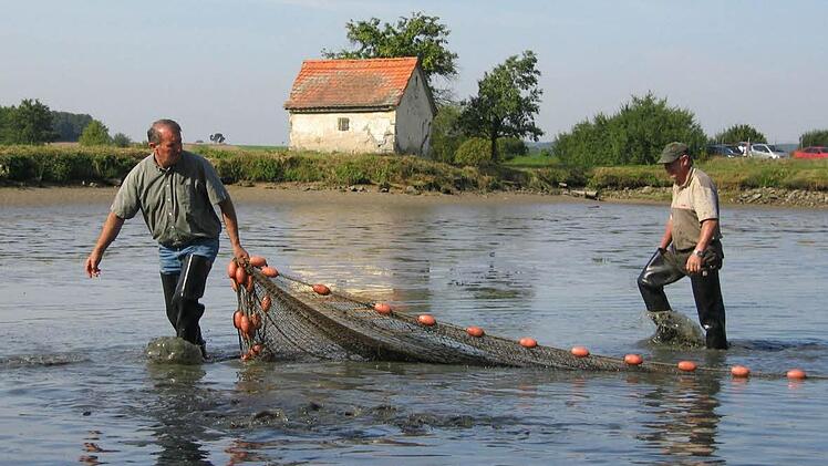 Abfischen mit dem Netz. Foto: Manfred Welker