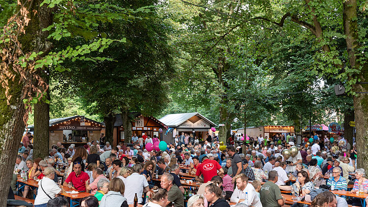 Fränkisches Weinfest in Volkach