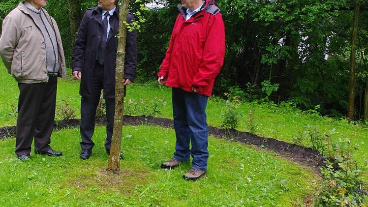 Im Burggruber Park gibt es auch einen Ginkgo-Baum. Die in China heimische - heute weltweit angepflanzte - Baumart bildet mit den Rosen ein Ensemble. Das Bild zeigt (von links): Ehrenmitglied Karl Körner, Bürgermeister Rainer Detsch, Vorsitzenden Klaus Birkner.
