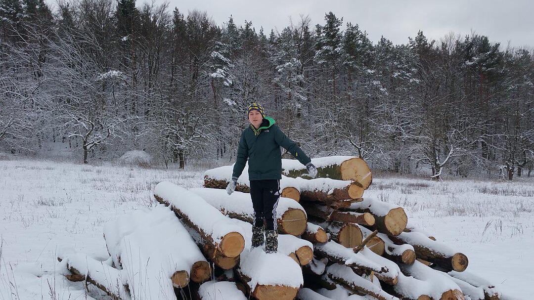 Schnee und Eis - Die schönsten Aufnahmen aus Franken