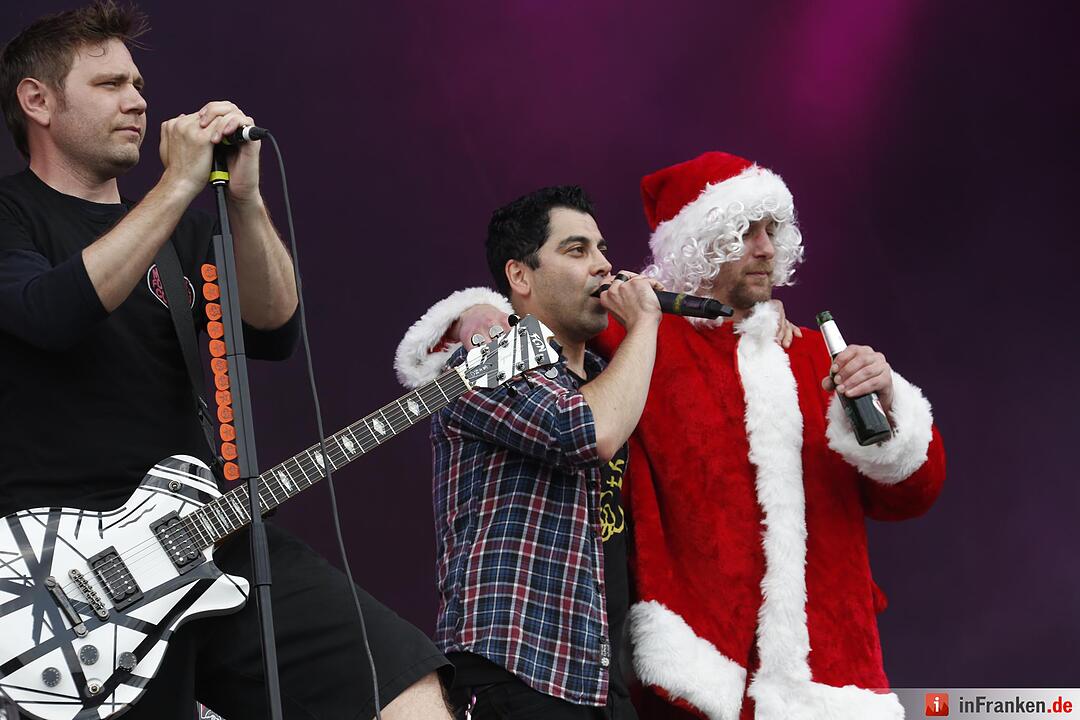 RIP15 - Zebrahead