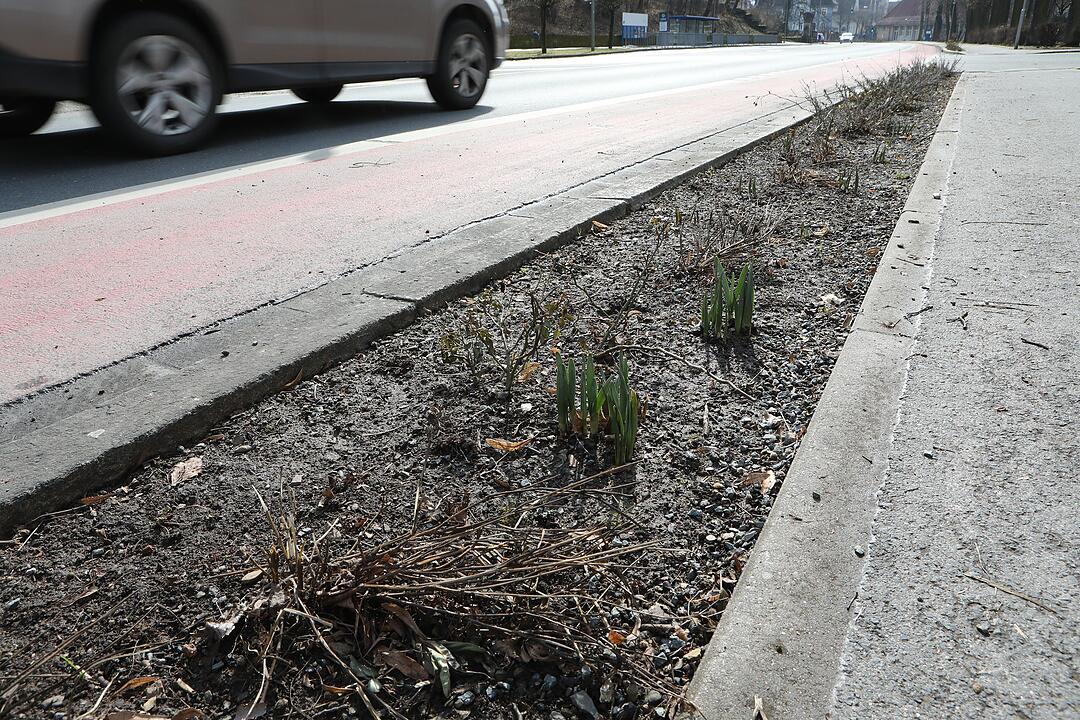 Frühling in Franken: Das Leben erwacht