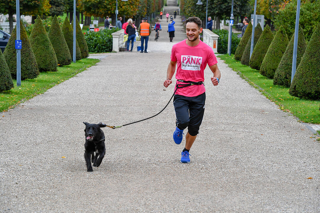 Pinklauf in Bad Brückenau: Rekord erneut geknackt