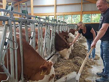 Die Milchkühe sind nach Menchau zurückgekehrt. Petra und Harald Groppweiß füttern die Tiere, die vor Wochen in einen  neu gebauten Stall eingezogen sind.