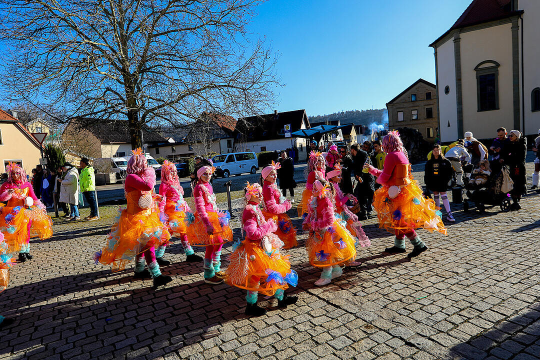 Fasching in Sand am Main!