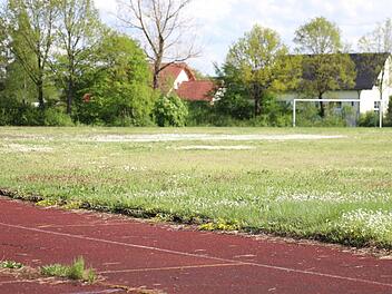 Soll der Sportplatz erhalten oder zu Bauland umgewandelt werden?  Foto: Christian Bauriedel