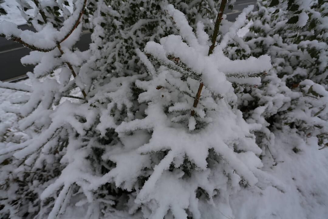 Erster Schneefall in Oberfranken