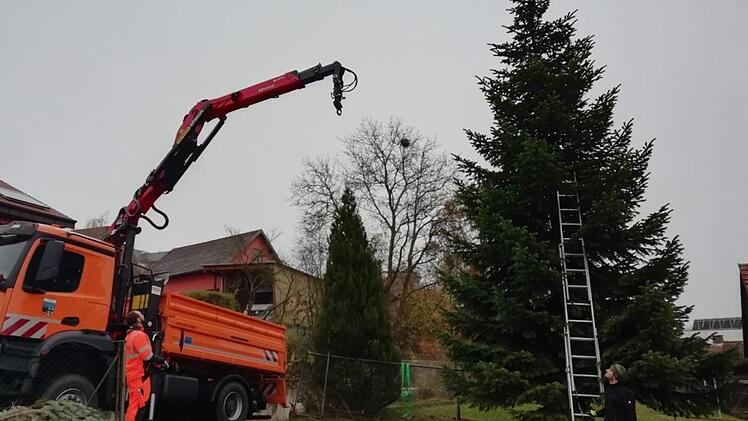 Der Baum für München wird abgeholt. Fabian Nöth