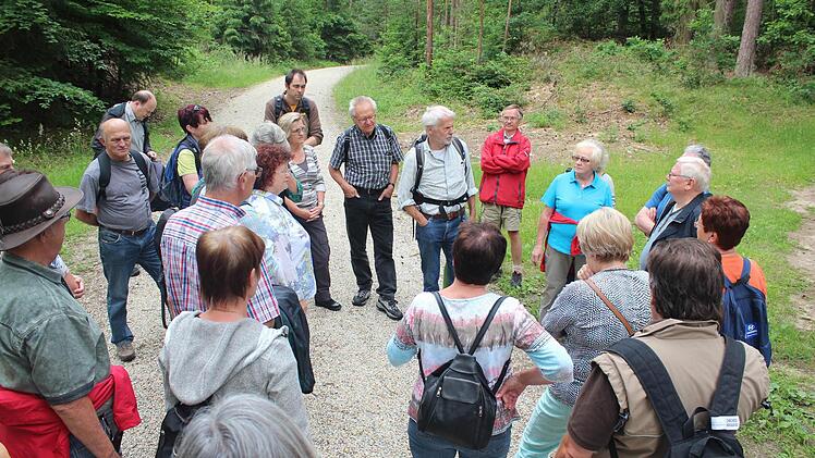 Leserwanderung im Hauptsmoorwald. Foto: Michael Memmel