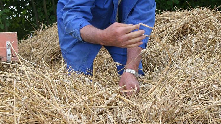 Rudi Meyer zeigte, wie man früher das Stroh zu Bündeln gebunden hat - per Hand. "Das hab ich noch von meinen Eltern gelernt", sagt Meyer.