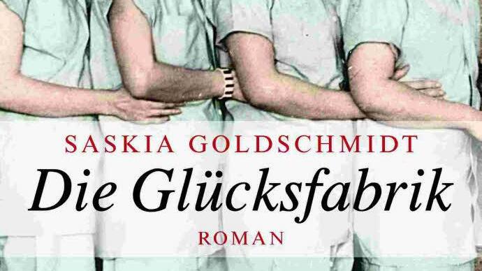 Das Cover der "Glücksfabrik". Foto: dtv