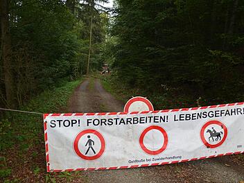 Die Gemeindearbeiter sind momentan dabei, das Waldstück in Verlängerung der Straße Weizäcker in Burkardroth zu durchforsten. Foto: Kathrin Kupka-Hahn