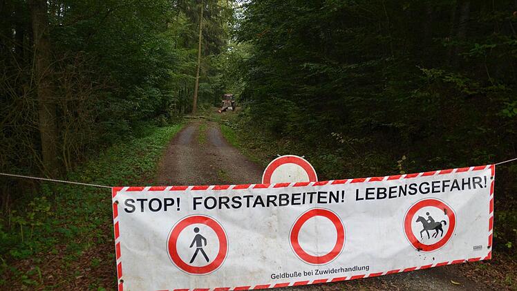 Die Gemeindearbeiter sind momentan dabei, das Waldstück in Verlängerung der Straße Weizäcker in Burkardroth zu durchforsten. Foto: Kathrin Kupka-Hahn