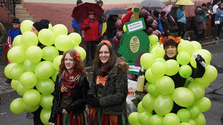 Faschingszug in Diebach. Foto: Arkadius Guzy