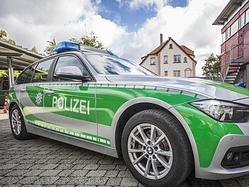 Die Reifen eines Streifenwagens der Polizei bissen die Rottweiler "Ed" und "Fred" vor neun Jahren platt. Symbolfoto: René Ruprecht