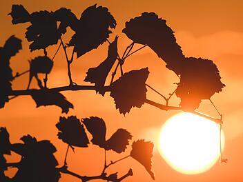 Franken steht mit Temperaturen um die  25 Grad bei wolkenlosem Himmel ein herrliches Wochenende bevor. Dann kommt die atlantische Kaltfront. Symbolfoto: Sebastian Gollnow/dpa